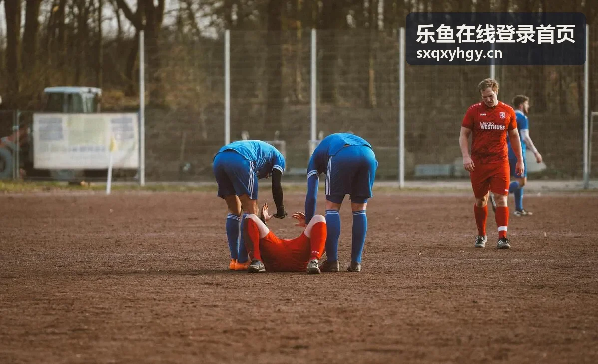 回望法国14年世界杯小组赛：高卢雄鸡的复兴之路
